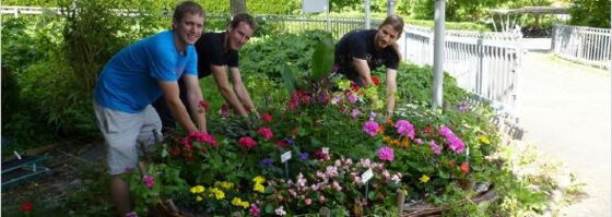 Gärtner/-innen gestalten das Schulgelände mit Sommerblumen